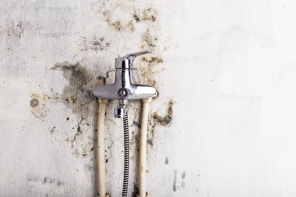 Best Residential Mold Remediation in Leisuretowne, NJ