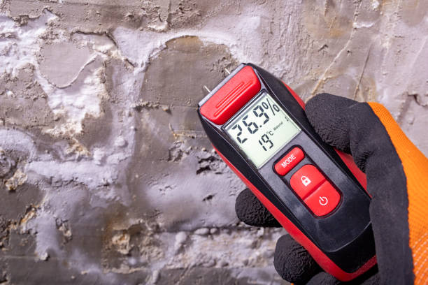 Best Health and Safety Mold Remediation in Leisuretowne, NJ