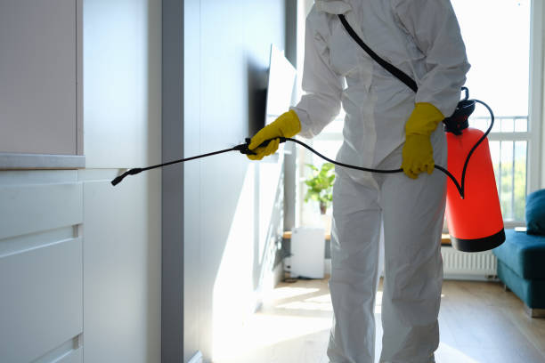 Best DIY Mold Remediation Support Services in Leisuretowne, NJ