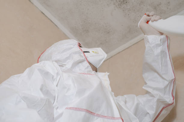 Leisuretowne, NJ Mold Remediation Company