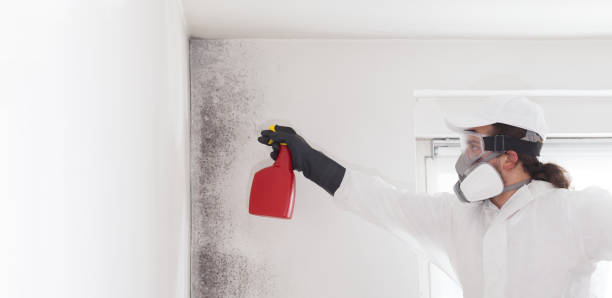 Best Mold Testing and Inspection Services in Leisuretowne, NJ