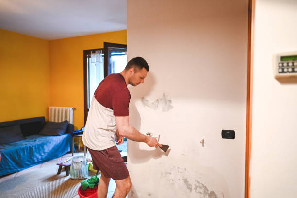 Best Localized Mold Remediation (e.g., coastal areas, humid climates) in Leisuretowne, NJ